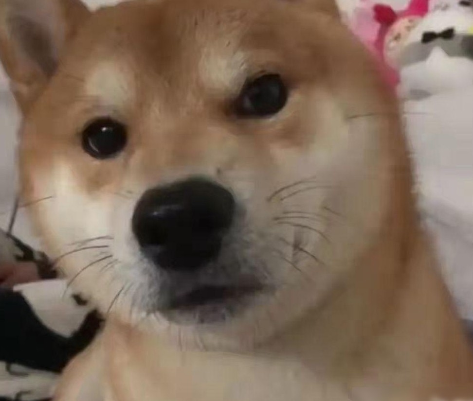有声书干音录制麦克风推荐