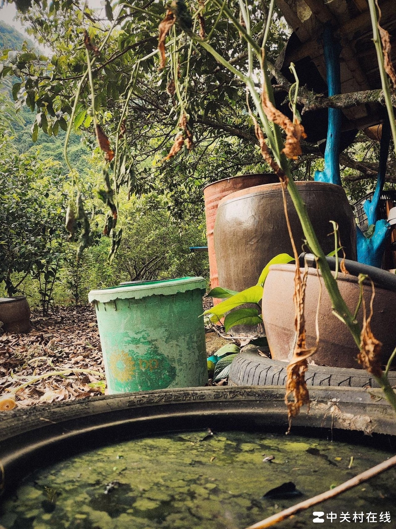 照片调色效果如何？