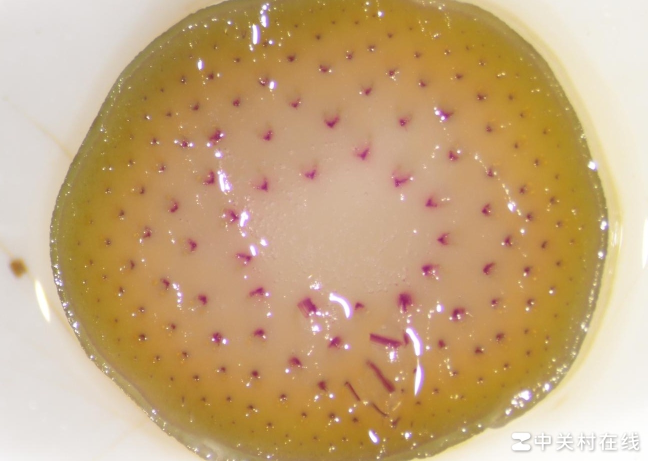 图像中红色区域面积比计算