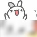 红米VS荣耀，谁更值得选？