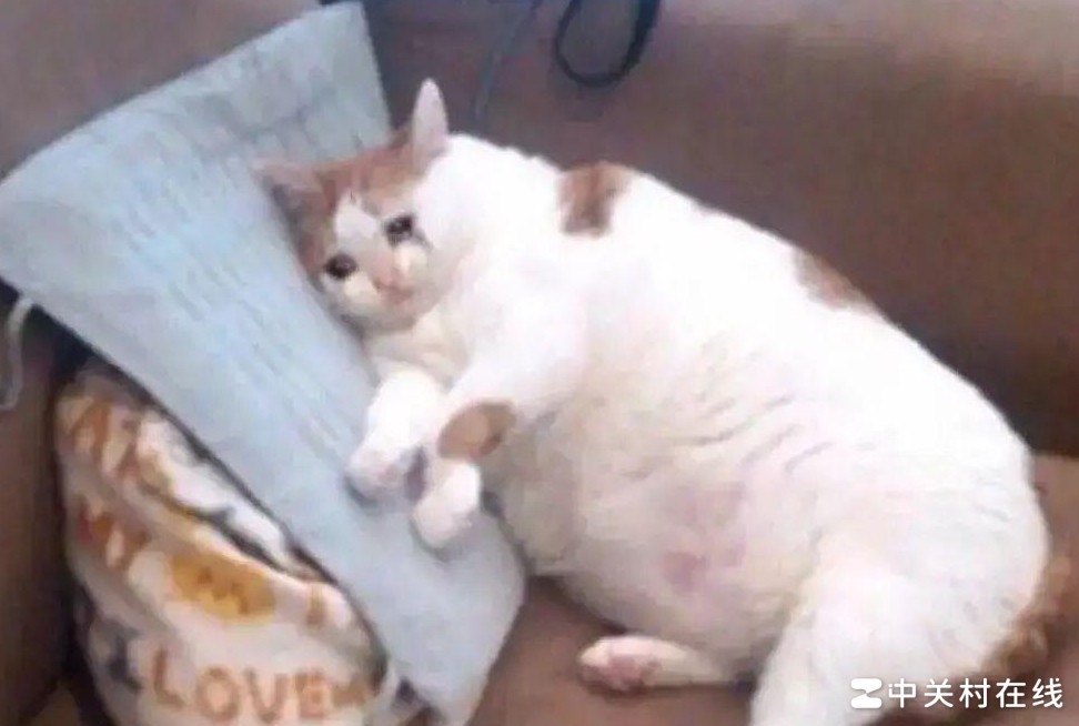 联通宽带换运营商需重布线吗