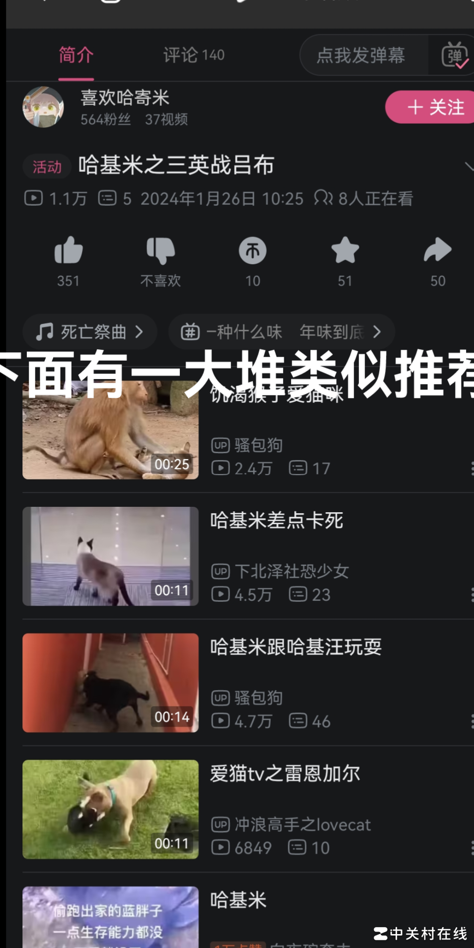 B站虐猫视频泛滥引热议