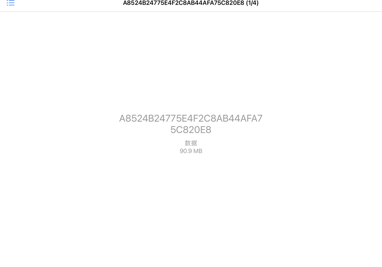 iPad Safari下载PDF打不开