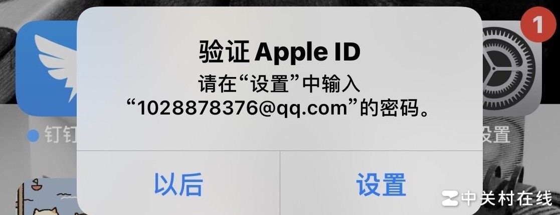 苹果账户显示异常原因