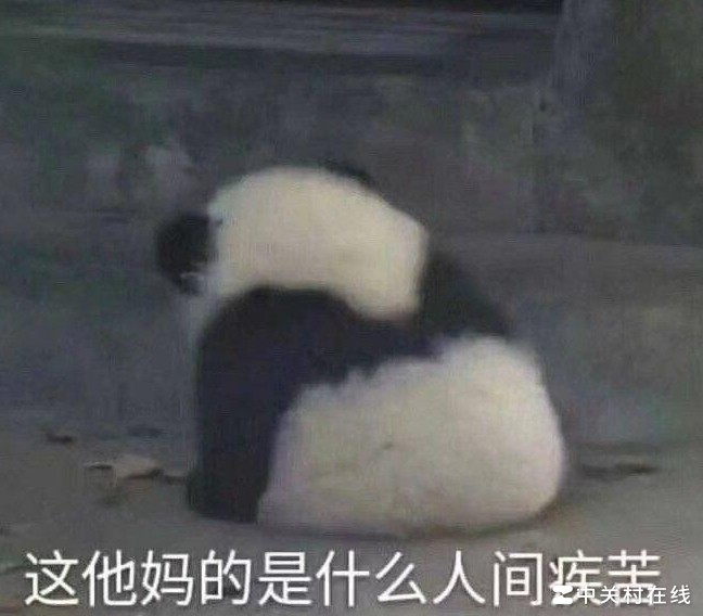 iPad Pro11双膜贴合手感体验