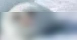 苹果ID退出无需密码？
