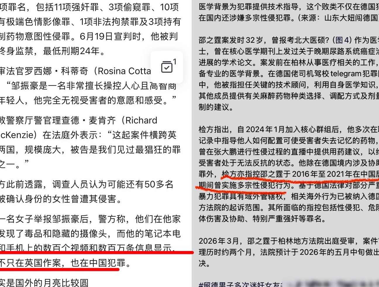 张大鹏邹振豪性侵案再审视