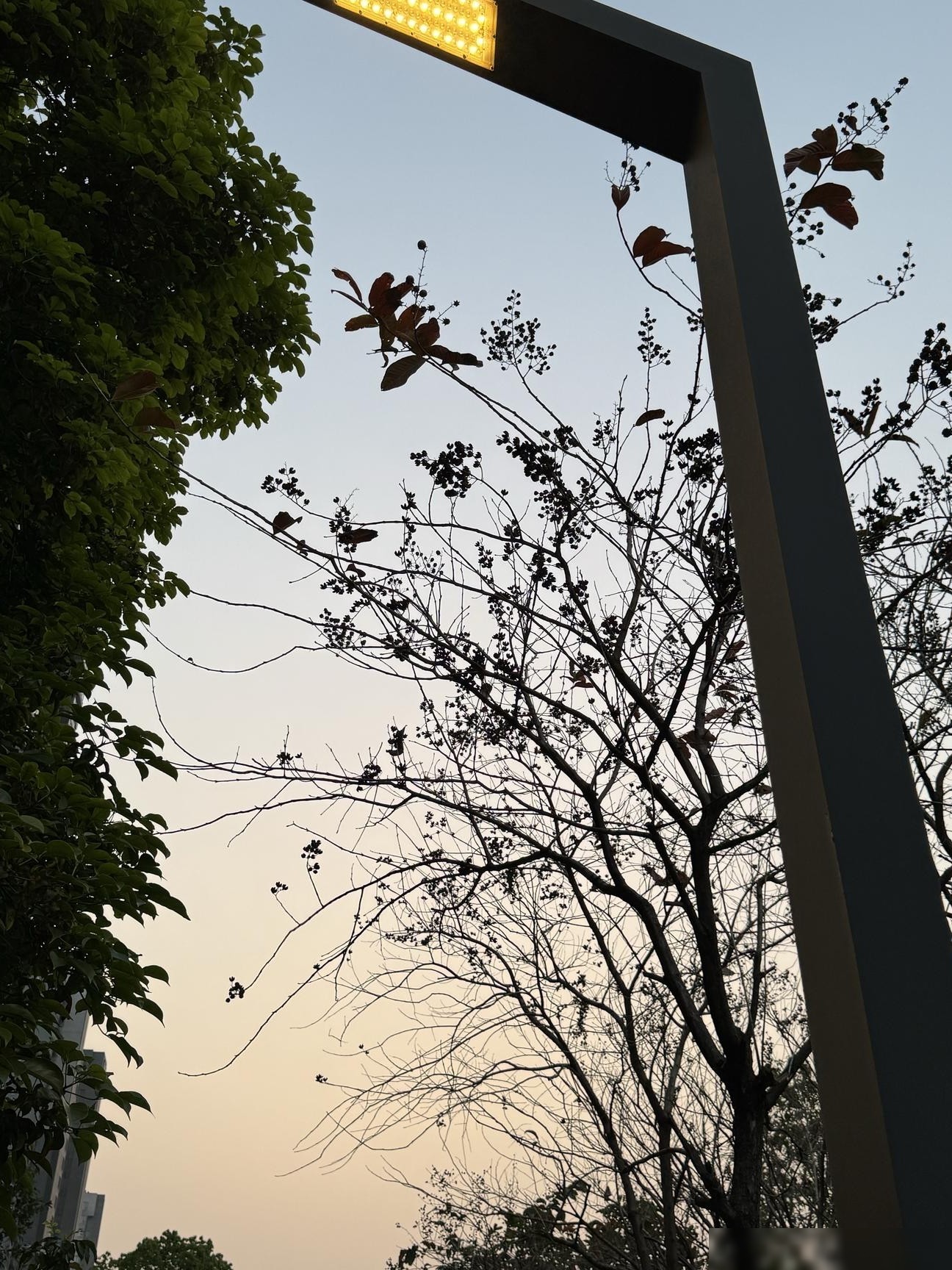 掏空家底留学值不值？