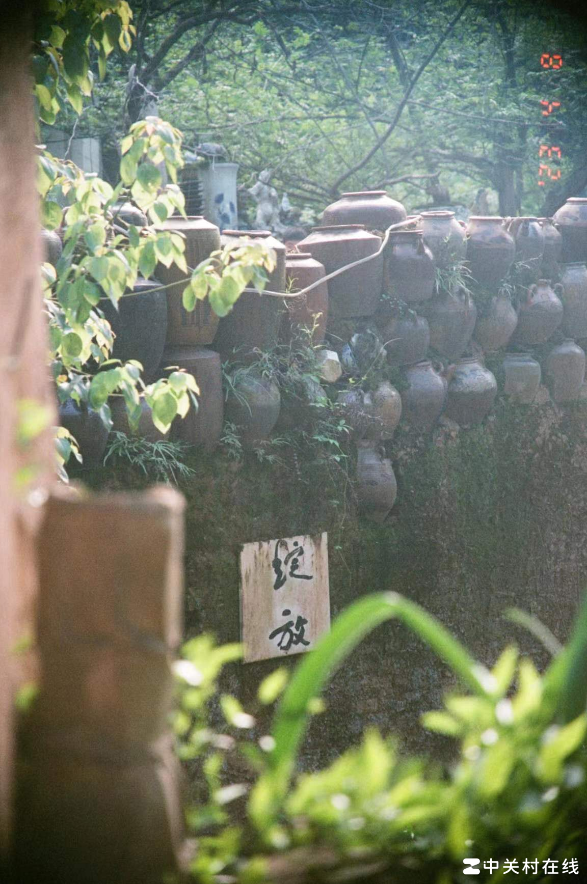 胶片照片黑圈成因揭秘