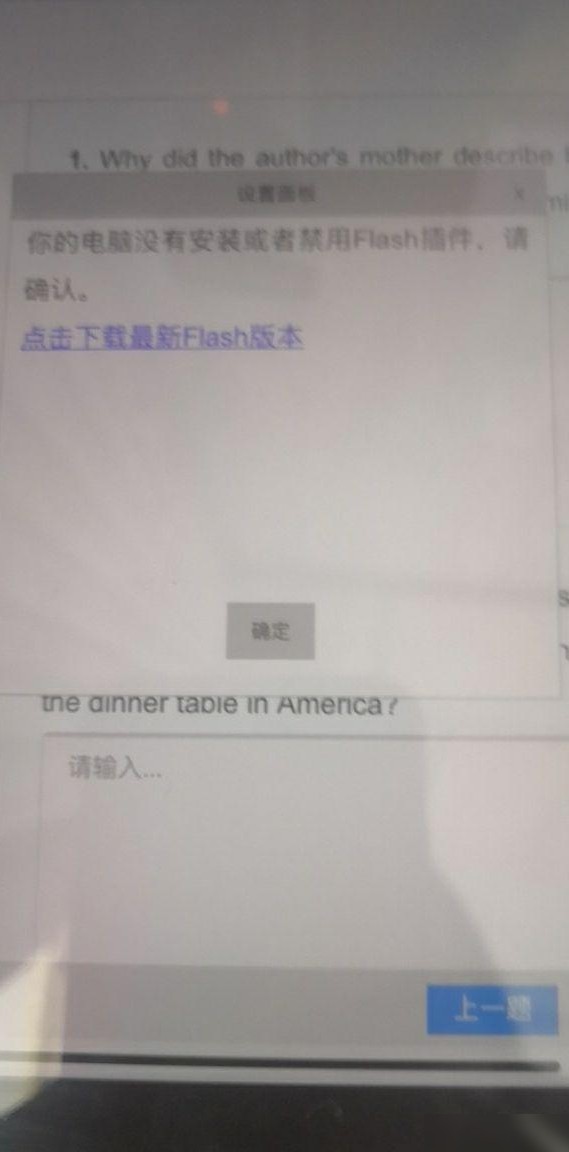 iPad无法使用Flash插件