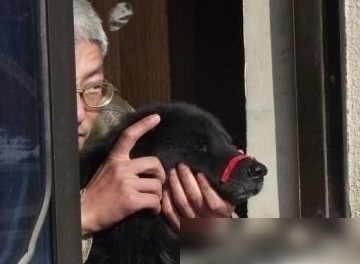 光圈过小为何画质下降