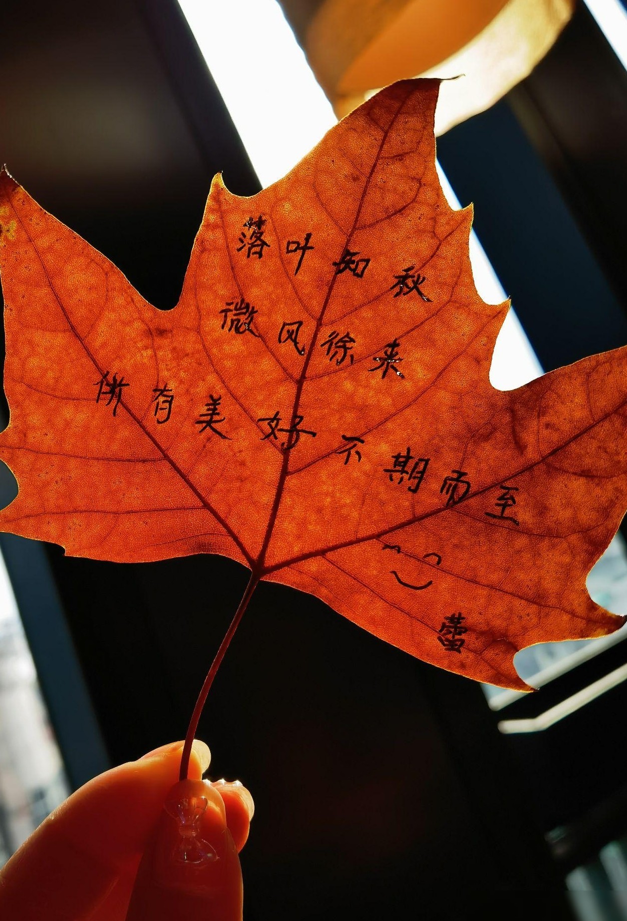哪些平台能卖照片？
