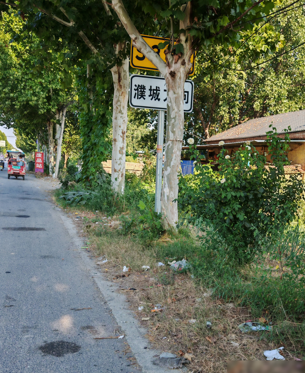 第一眼看到的字是什么？