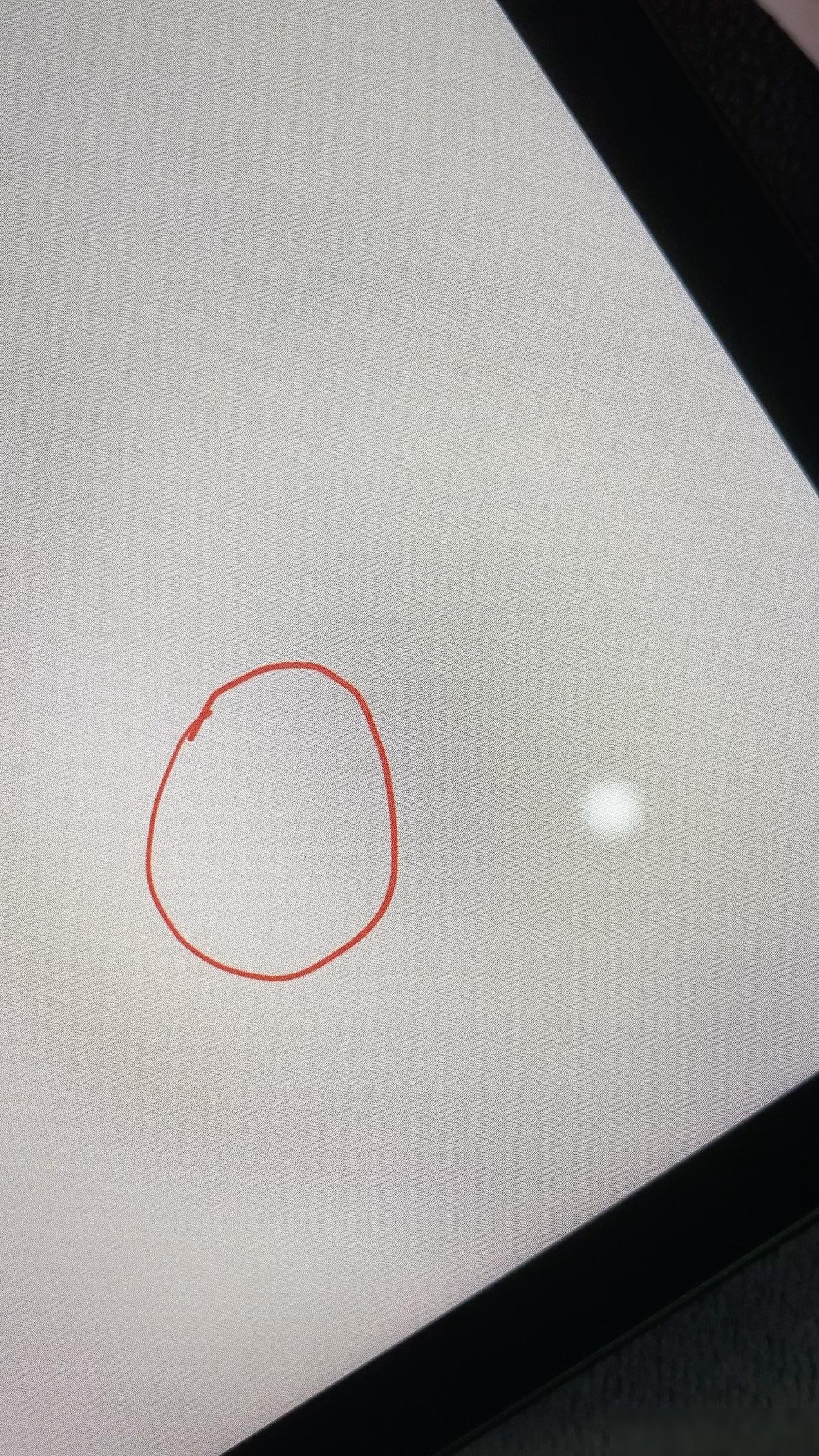 iPad Pro屏幕黑点该换吗