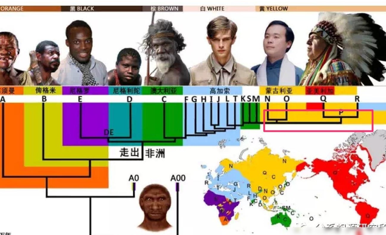 Y染色体单倍群R的起源之谜
