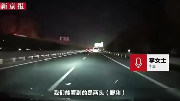 野猪闯高速致事故，责任如何划分？
