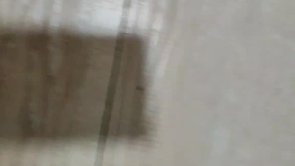 床虱识别与彻底清除方法