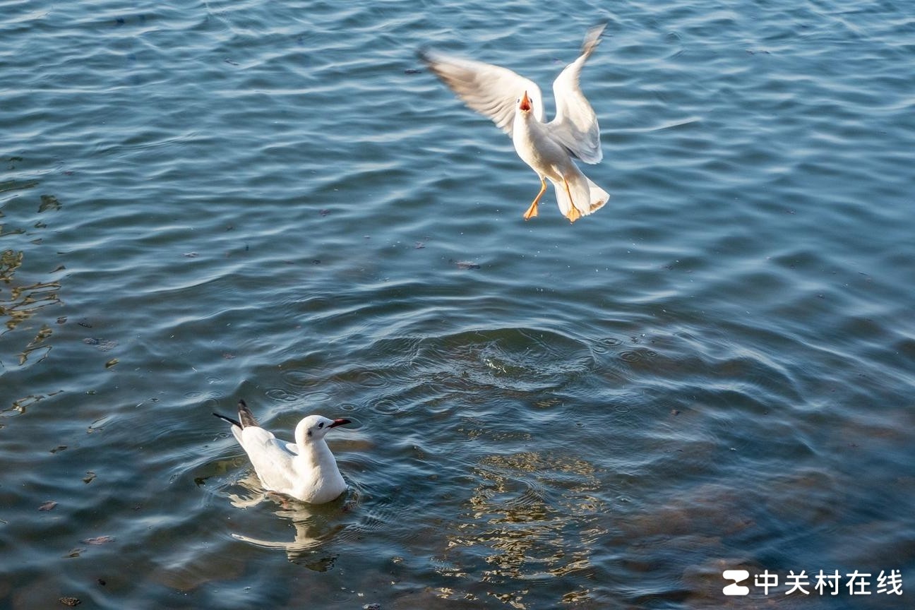 升级相机镜头有必要吗？