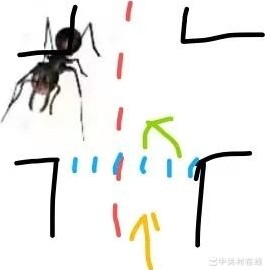 红绿灯下转弯直行事故责任