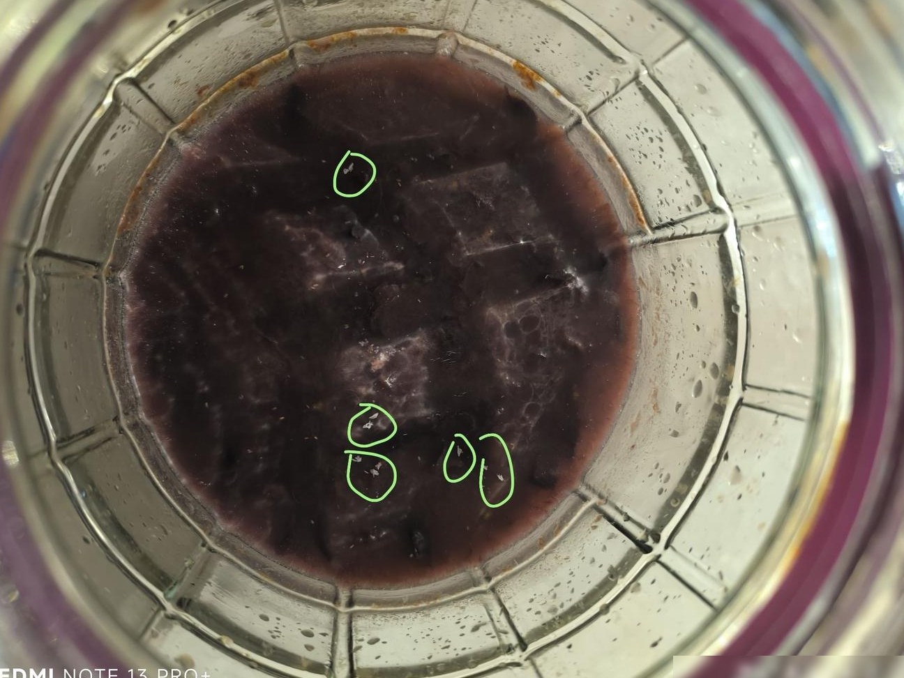 自家酿的葡萄酒是什么？