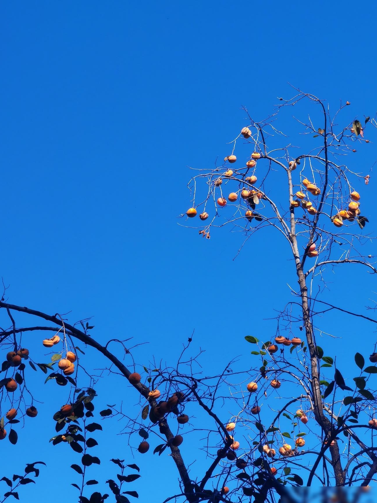 分享最具意境的原创照片