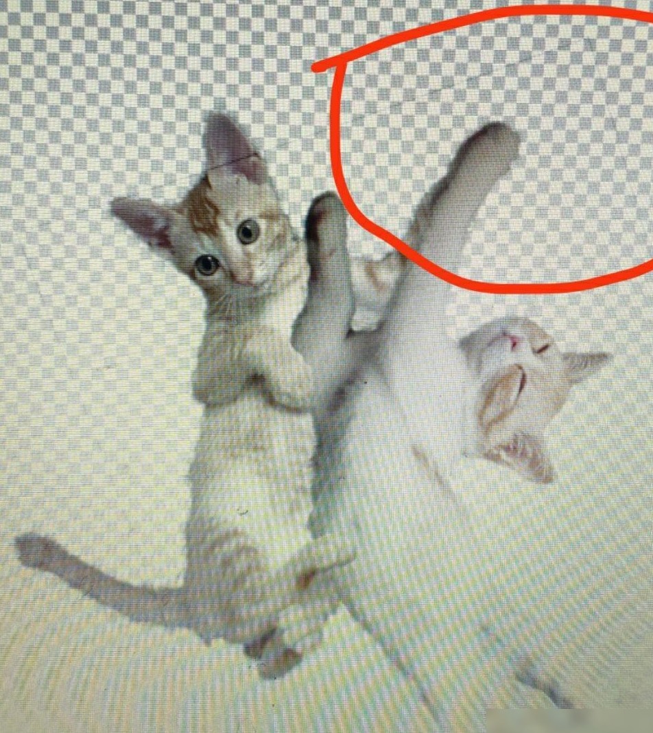 Photoshop图片边界问题解决