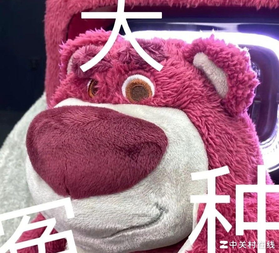 毕业设计涂改有影响吗