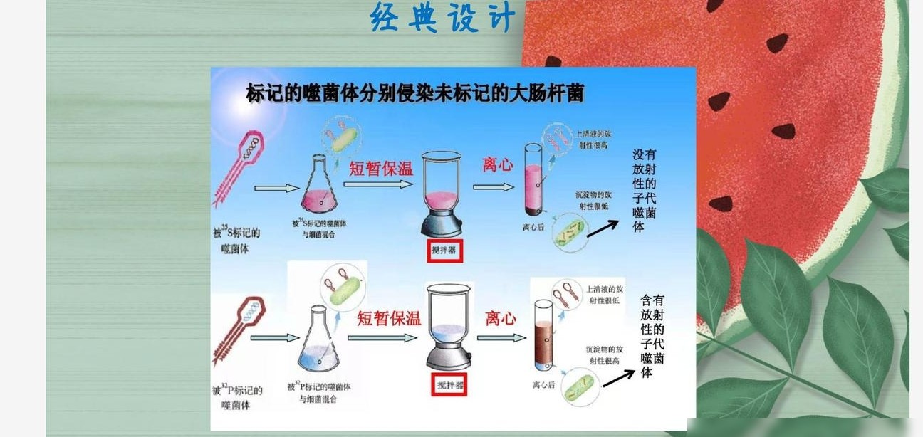 WPS图片背景与PPT一致