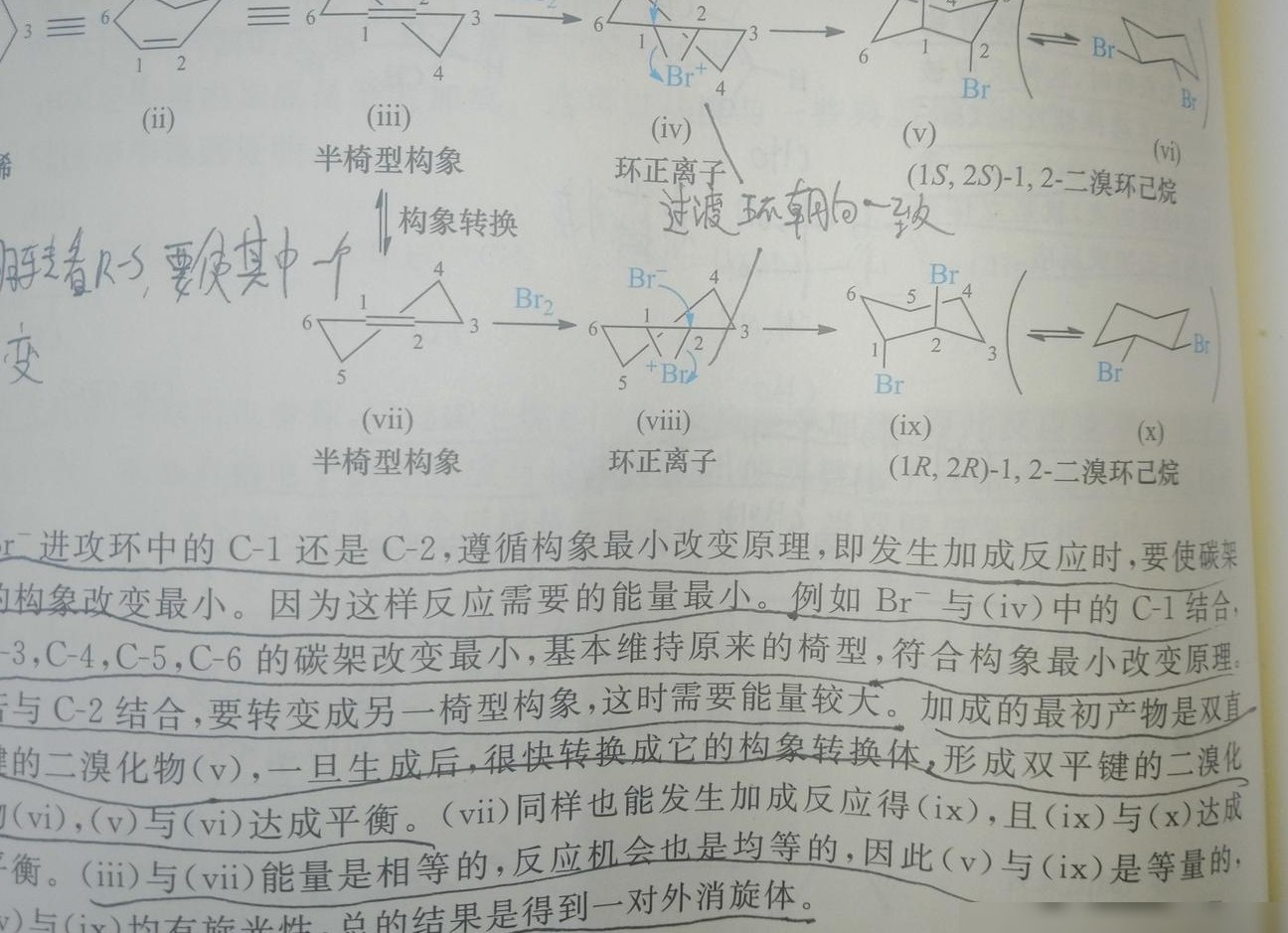 环己烯与溴加成简析