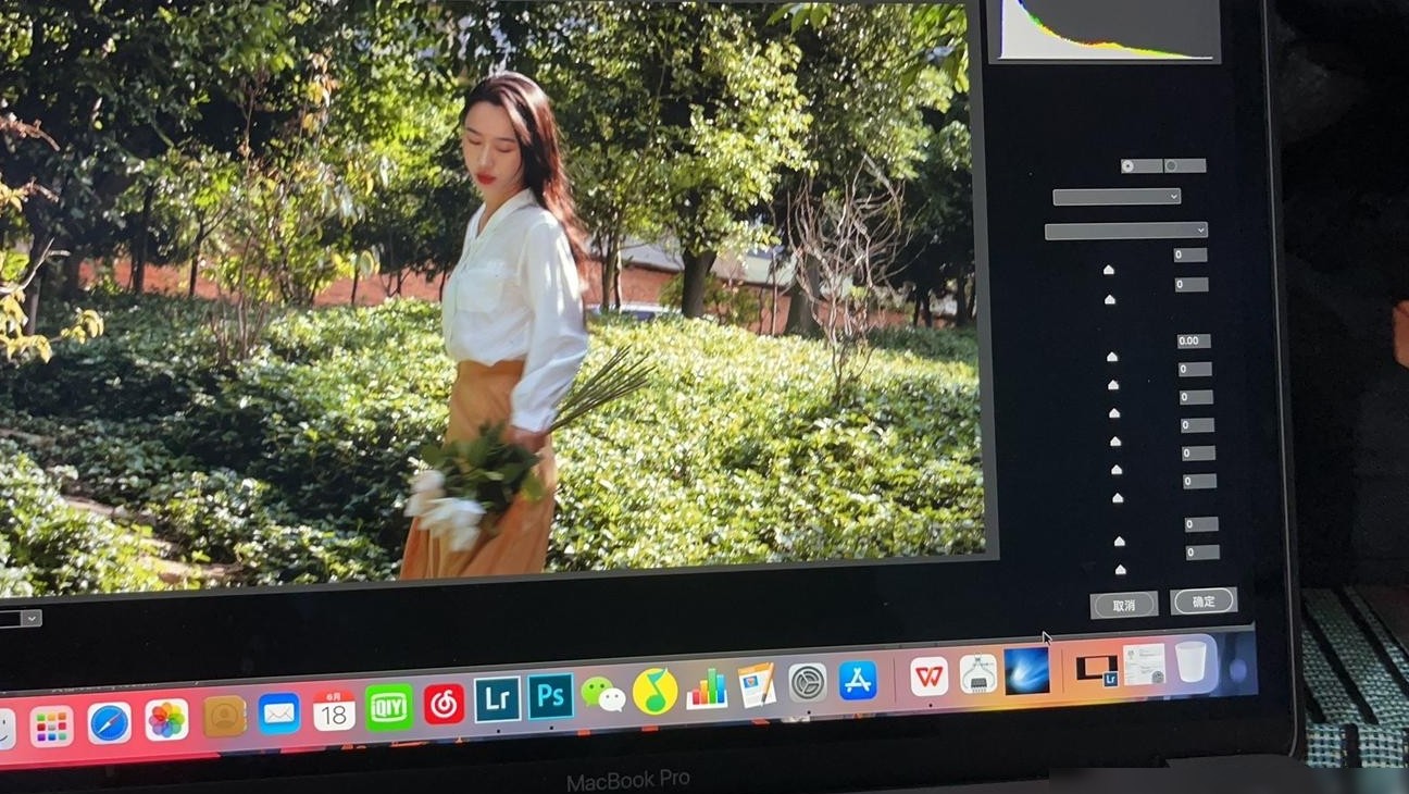 Camera Raw功能区变黑解决