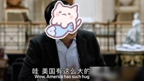 任正非谈崇美言论背景