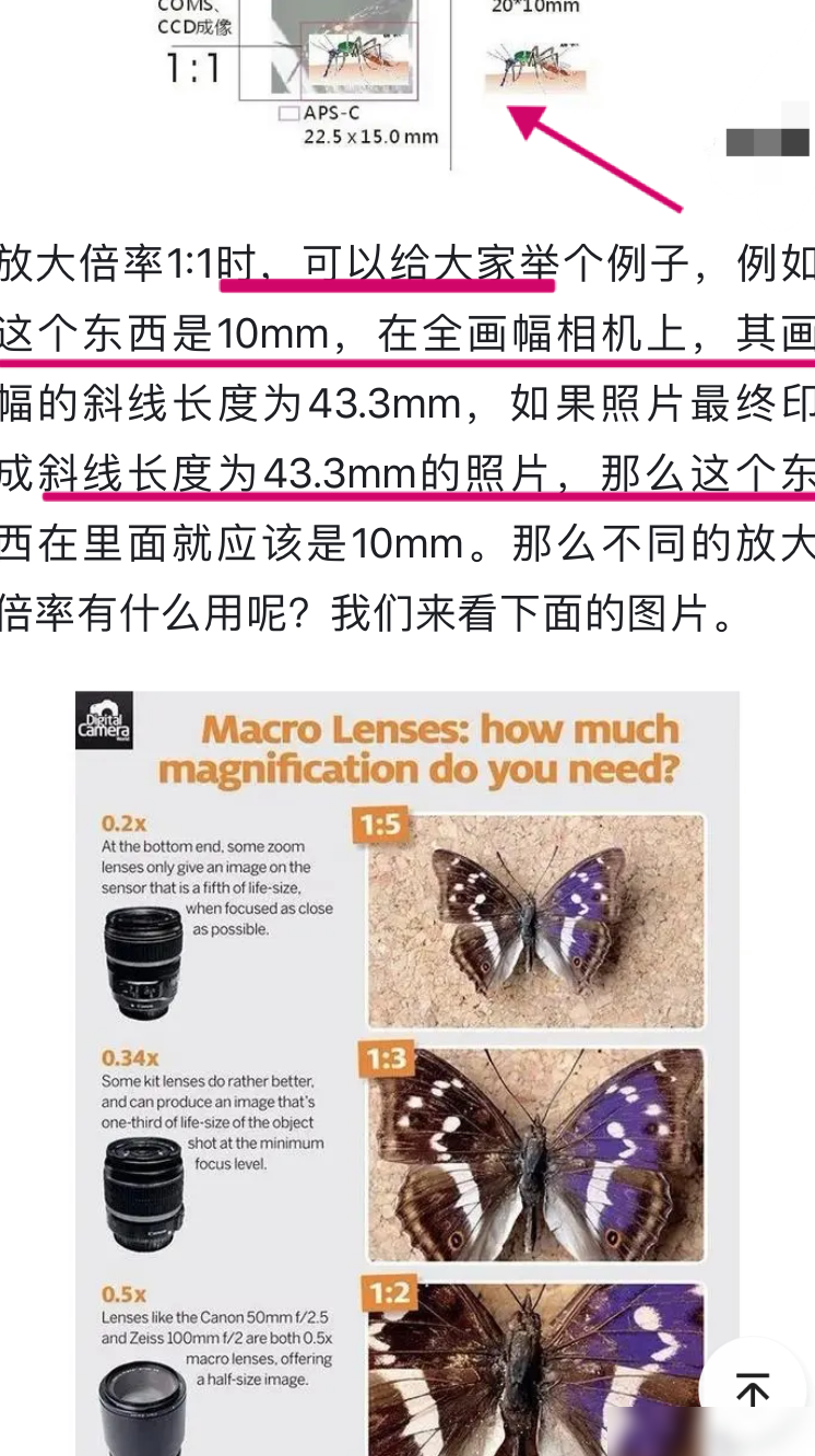 微距1，1到底拍全物体吗？