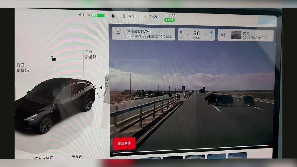 特斯拉辅助驾驶撞牛事件