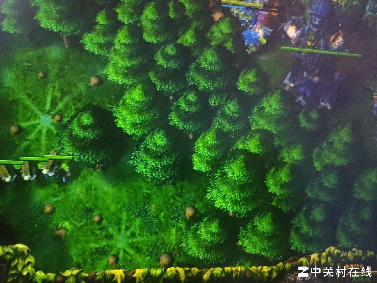 暗夜精灵反制人族骚扰