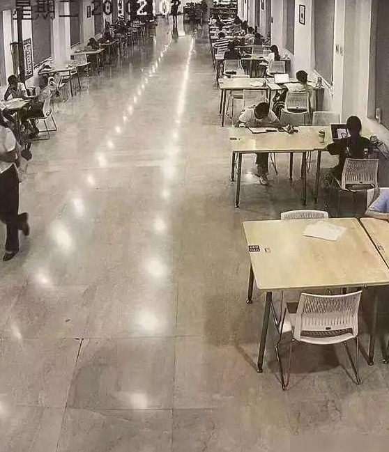 武大图书馆性骚扰案处分争议