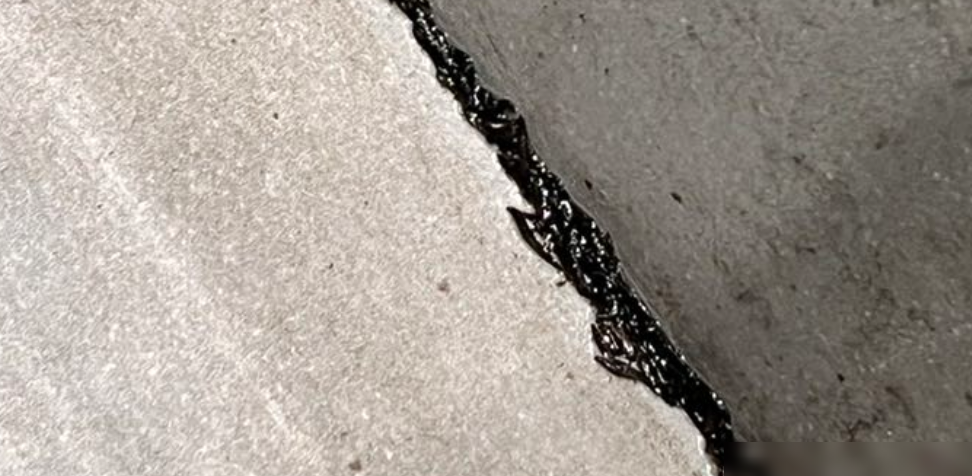墙角密布的迷你水蛭状虫