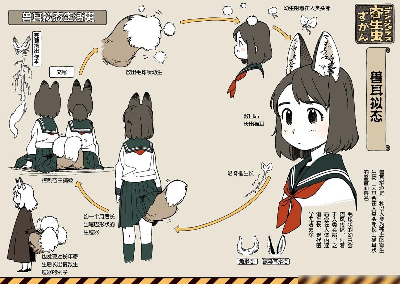 寄生人类的蟹奴该属何类？