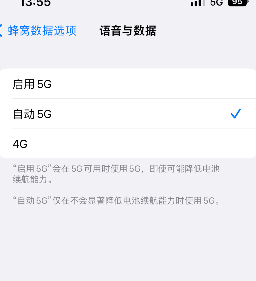 iOS 16.0.2 5G SA开关不见了