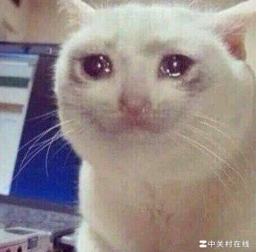 系统爱上宿主后崩溃了