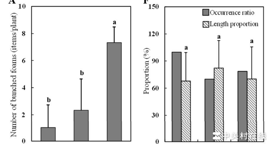 柱状图上方竖线含义解析