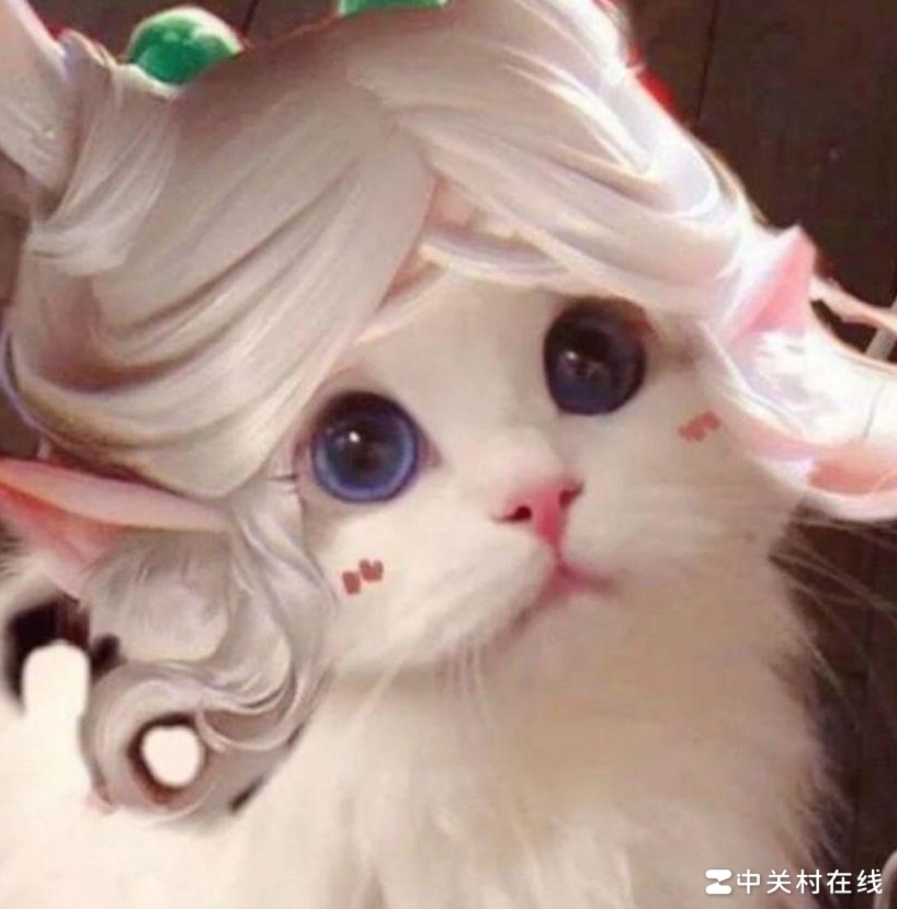 王者荣耀同系列头像合集