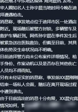 孙宇晨疑在迪拜遇枪击