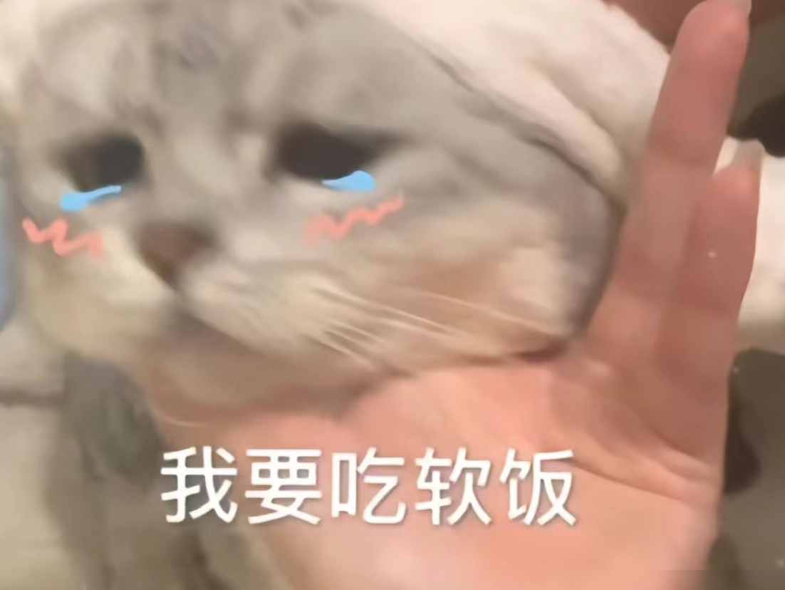 如何快速涨粉至1000？