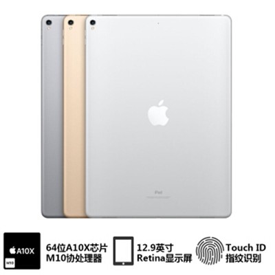 苹果 12.9英寸iPad Pro（256GB/WiFi版）
