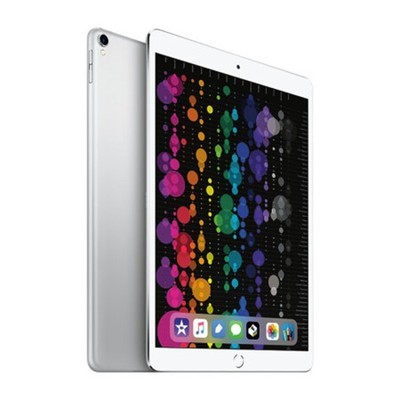 苹果 10.5英寸iPad Pro（256GB/WLAN）