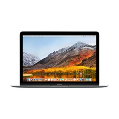 苹果 新MacBook（MNYH2CH/A）