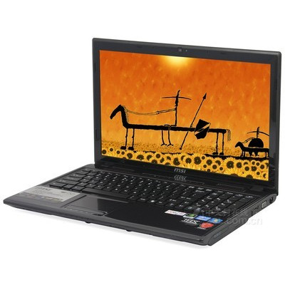 msi΢��(msi) GE60 GE60 0NC-479XCN