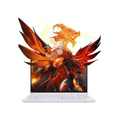 MECHREVO����е������ ����15 Pro R7 8845H/32GB/1TB/RTX4060 �ƽ���