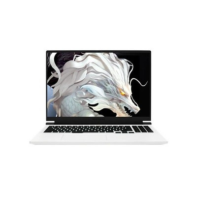 MECHREVOе 16 Pro R7 7745HX/16GB/1TB/RTX4060 ɫ