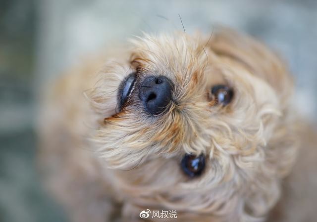 适马50 F1.4Art,体验全开光圈带来的感动,对不起来晚了